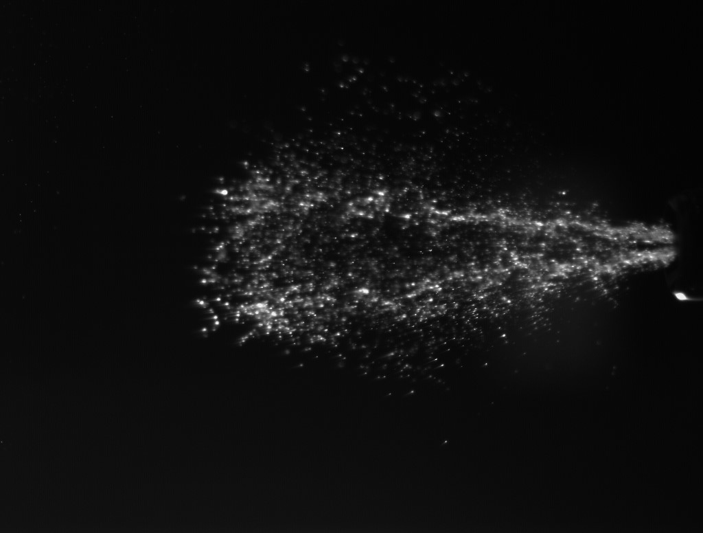 Input Image
